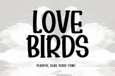 Love Birds by Minimalist Eyes — Slab Serif Font — thumbnail 1
