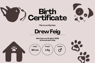 Love Dog by PraewDesigns — Dingbats Font — thumbnail 6