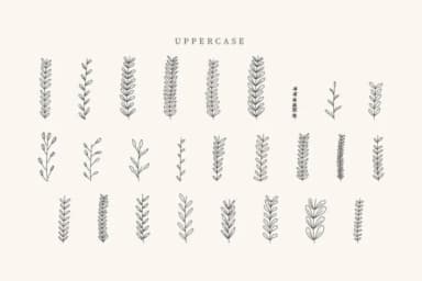 Love Leaves by CraftedType Studio — Dingbats Font — thumbnail 2