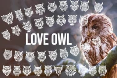 Love Owl by MOMAT THIRTYONE — Dingbats Font — thumbnail 1