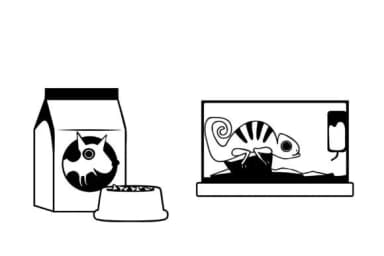 Lucky Pets Dingbats by Illustration Ink — Dingbats Font — thumbnail 6