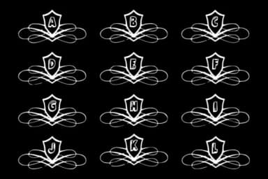 Luxury Initial by Infinity art Studio — Dingbats Font — thumbnail 4