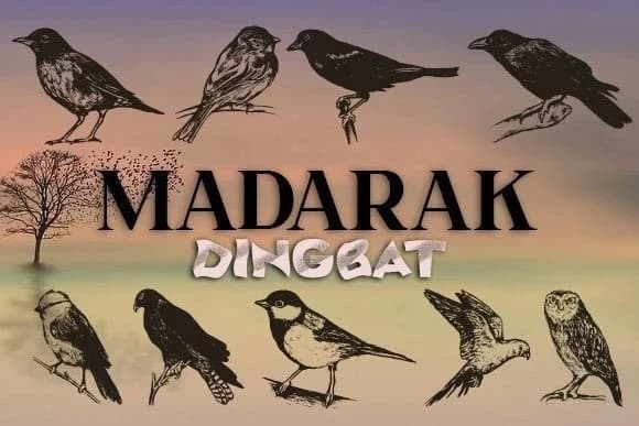 Madarak by vladimirnikolic — Dingbats Font