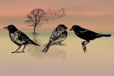 Madarak by vladimirnikolic — Dingbats Font — thumbnail 2