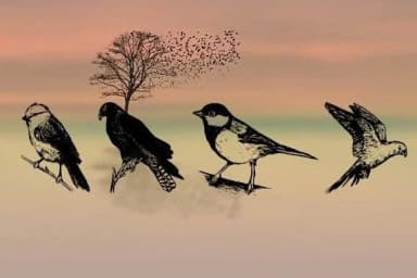 Madarak by vladimirnikolic — Dingbats Font — thumbnail 3