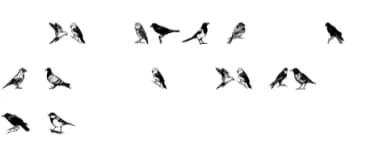 Madarak by vladimirnikolic — Dingbats Font — thumbnail 5