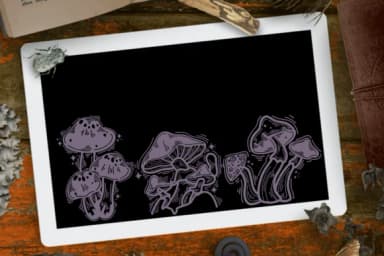 Magic Mushroom by Suphitchaya — Dingbats Font — thumbnail 6