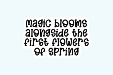 Magic Spring by CraftedType Studio — Slab Serif Font — thumbnail 4