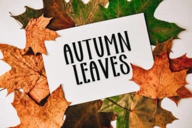 Magical Reindeer by Minimalist Eyes — Slab Serif Font — thumbnail 5