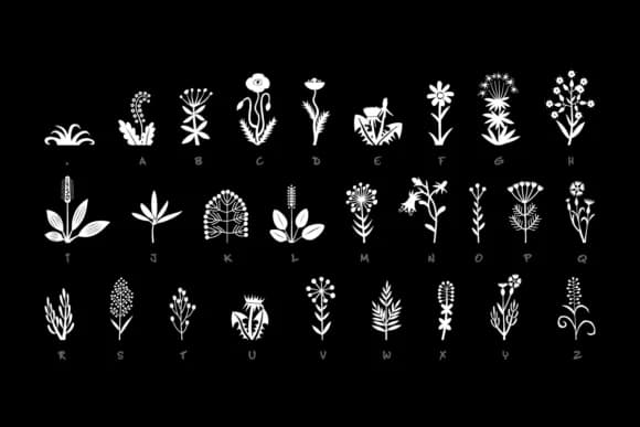 Makalu by Juraj Chrastina — Dingbats Font