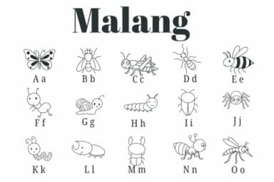 Malang by Suphitchaya — Dingbats Font — thumbnail 2