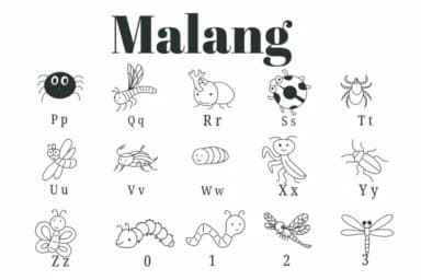 Malang by Suphitchaya — Dingbats Font — thumbnail 3