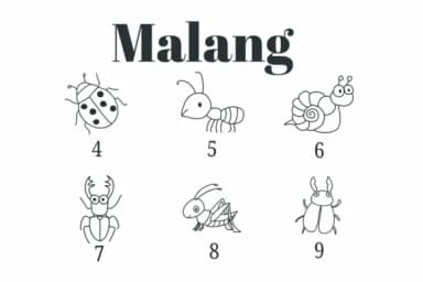 Malang by Suphitchaya — Dingbats Font — thumbnail 4