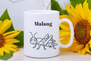 Malang by Suphitchaya — Dingbats Font — thumbnail 8