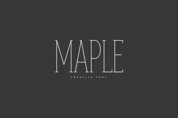 Maple by vladfedotovv — Slab Serif Font
