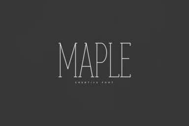 Maple by vladfedotovv — Slab Serif Font — thumbnail 1