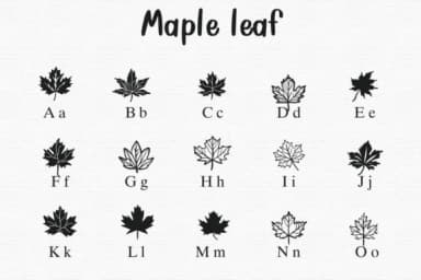 Maple Leaf by Sontaya — Dingbats Font — thumbnail 2