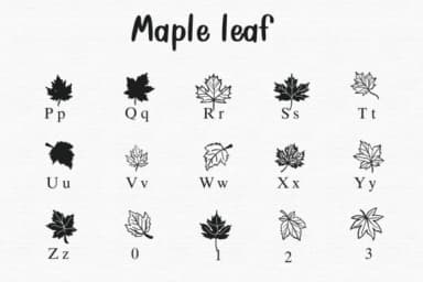 Maple Leaf by Sontaya — Dingbats Font — thumbnail 3