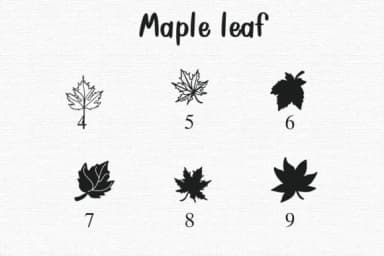 Maple Leaf by Sontaya — Dingbats Font — thumbnail 4