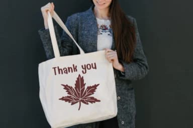 Maple Leaf by Sontaya — Dingbats Font — thumbnail 5