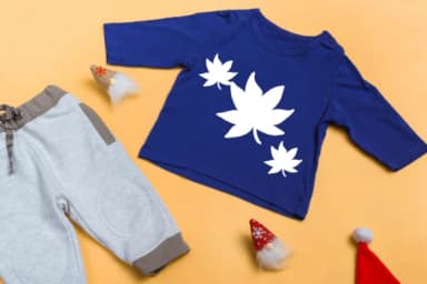 Maple Leaf by Sontaya — Dingbats Font — thumbnail 6