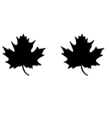 Maple Leaf by Sontaya — Dingbats Font — thumbnail 8