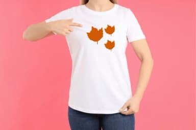 Maple Leaf by Ketsarin — Dingbats Font — thumbnail 7