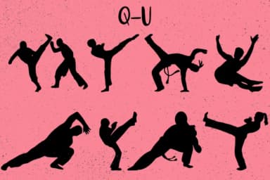 Martial Arts by Minimalistartstudio — Dingbats Font — thumbnail 4