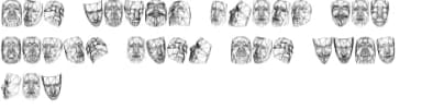 Masks 3D by vladimirnikolic — Dingbats Font — thumbnail 7