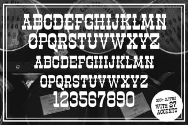 Masterson Family by Arterfak Project — Slab Serif Font — thumbnail 7