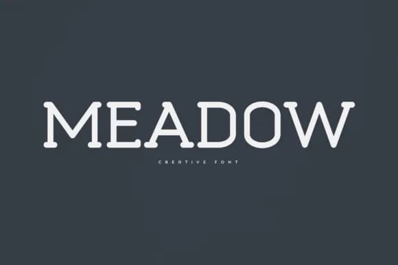 Meadow by vladfedotovv — Slab Serif Font