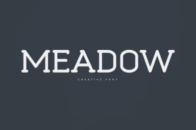 Meadow by vladfedotovv — Slab Serif Font — thumbnail 1