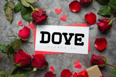 Melove by Ade (7NTypes) — Slab Serif Font — thumbnail 4