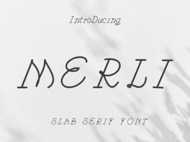 Merli by Pukka De — Slab Serif Font — thumbnail 2