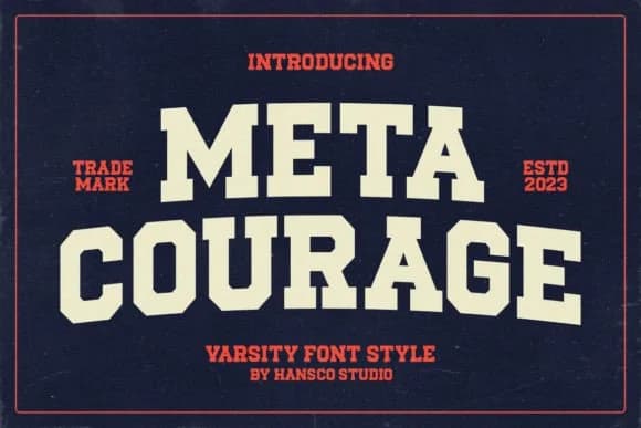Meta Courage by HansCo — Slab Serif Font