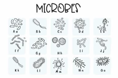 Microbes by Sirinart — Dingbats Font — thumbnail 2