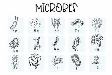 Microbes by Sirinart — Dingbats Font — thumbnail 3