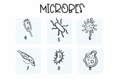 Microbes by Sirinart — Dingbats Font — thumbnail 4