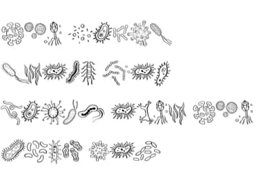 Microbes by Sirinart — Dingbats Font — thumbnail 8