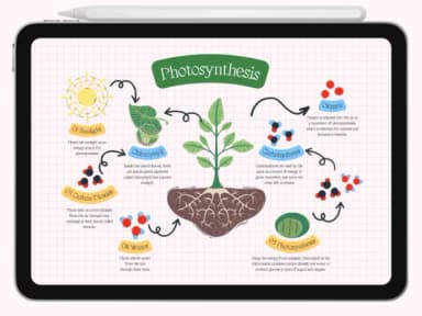 Mine by Pukka De — Slab Serif Font — thumbnail 2