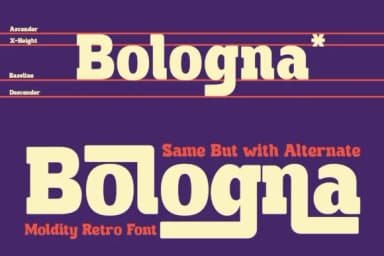 Moldity by pandekastudio — Slab Serif Font — thumbnail 7