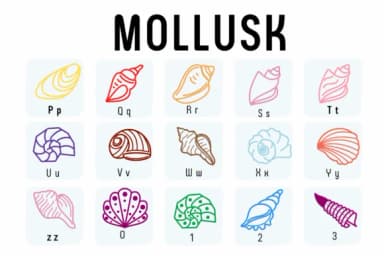 Mollusk by Chada Art — Dingbats Font — thumbnail 3