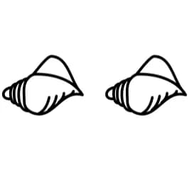 Mollusk by Chada Art — Dingbats Font — thumbnail 8