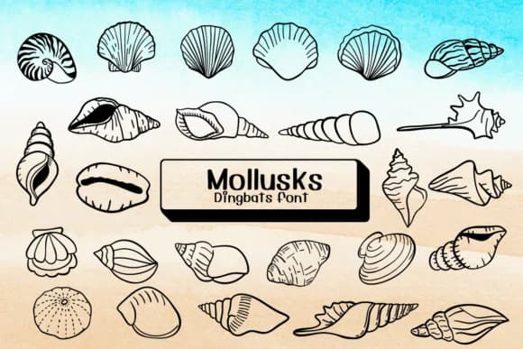 Mollusks by Ketsarin — Dingbats Font
