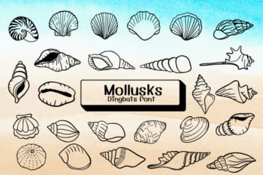 Mollusks by Ketsarin — Dingbats Font — thumbnail 1