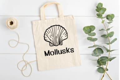 Mollusks by Ketsarin — Dingbats Font — thumbnail 5