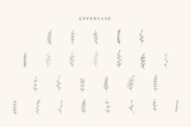 Mom Divider by CraftedType Studio — Dingbats Font — thumbnail 2