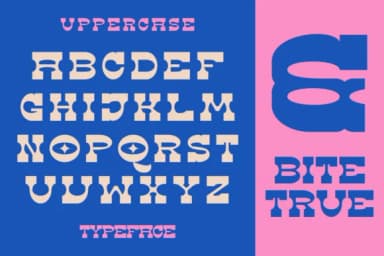 Mono Slab by Marvadesign — Slab Serif Font — thumbnail 2