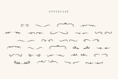 Monogram Divider by CraftedType Studio — Dingbats Font — thumbnail 2