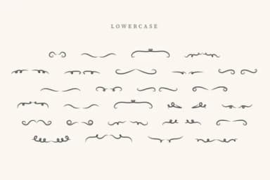 Monogram Divider by CraftedType Studio — Dingbats Font — thumbnail 3